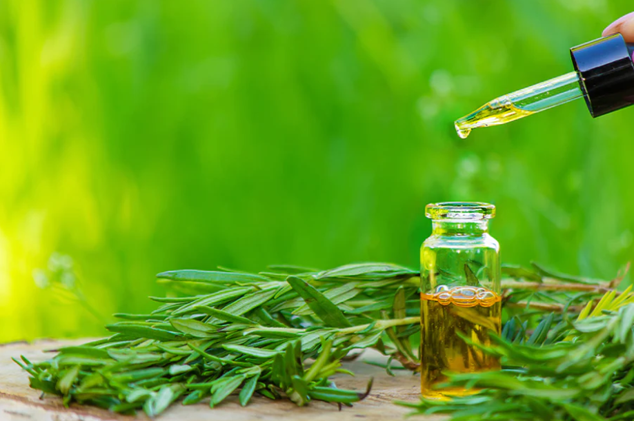 Three Benefits of Tea Tree Oil for Dandruff